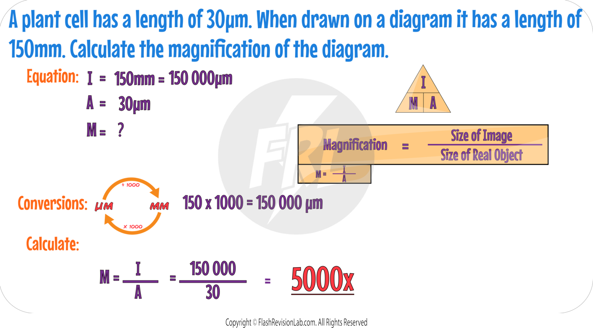 Microscope Calculation